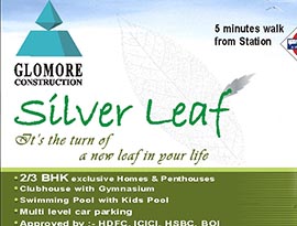 Silver Leaf